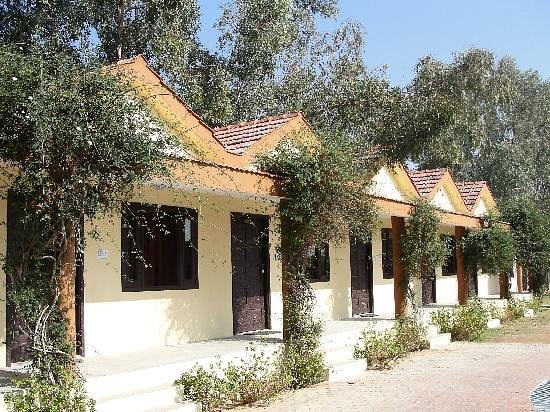 kanchan kesari